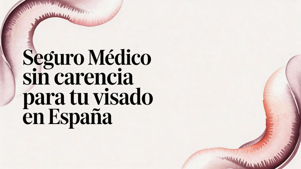 Seguro medico sin carencia para tu visado en España 26 ASISA - International student Seguro medico sin carencia para tu visado en España