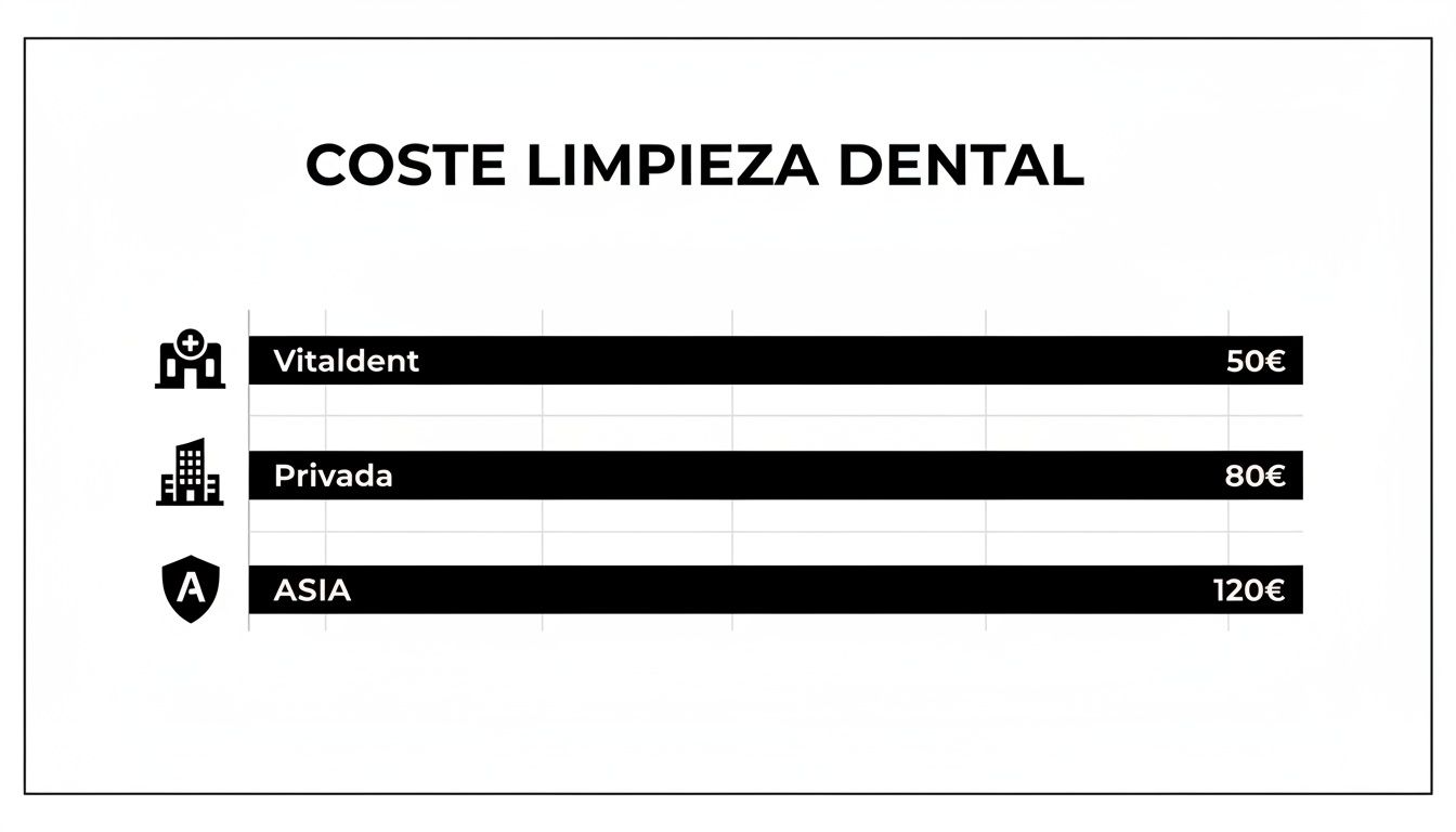 Limpieza dental Vitaldent precio: Guía completa y cómo ahorrar 1 Gráfico de barras comparando el coste de limpieza dental en Vitaldent, clínicas privadas y ASIA.