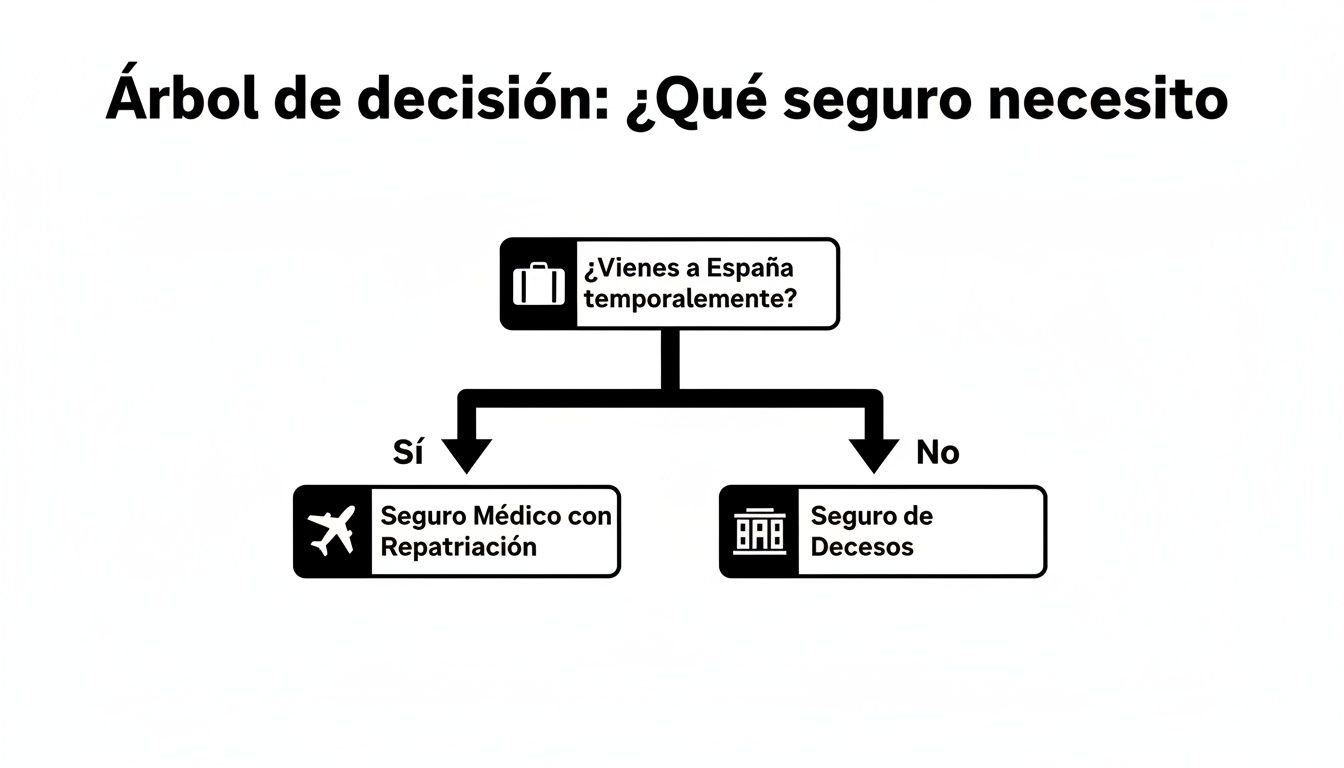 Seguros de decesos Mapfre para extranjeros en España ¿valen la pena? 3 Árbol de decisión simple sobre seguros necesarios en España para visitantes temporales o residentes.