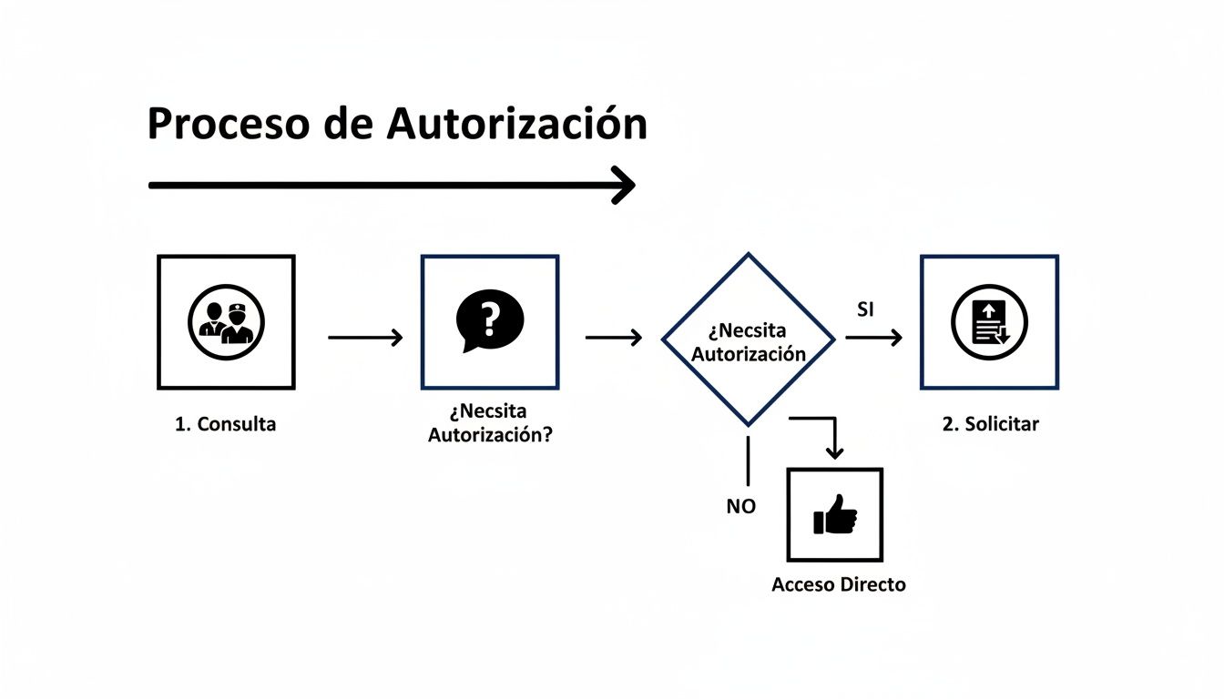 Mapfre Salud Autorizaciones: guía de mapfre salud autorizaciones en 2026 1 Diagrama de flujo del proceso de autorización mostrando consulta, decisión y acceso directo o solicitud.
