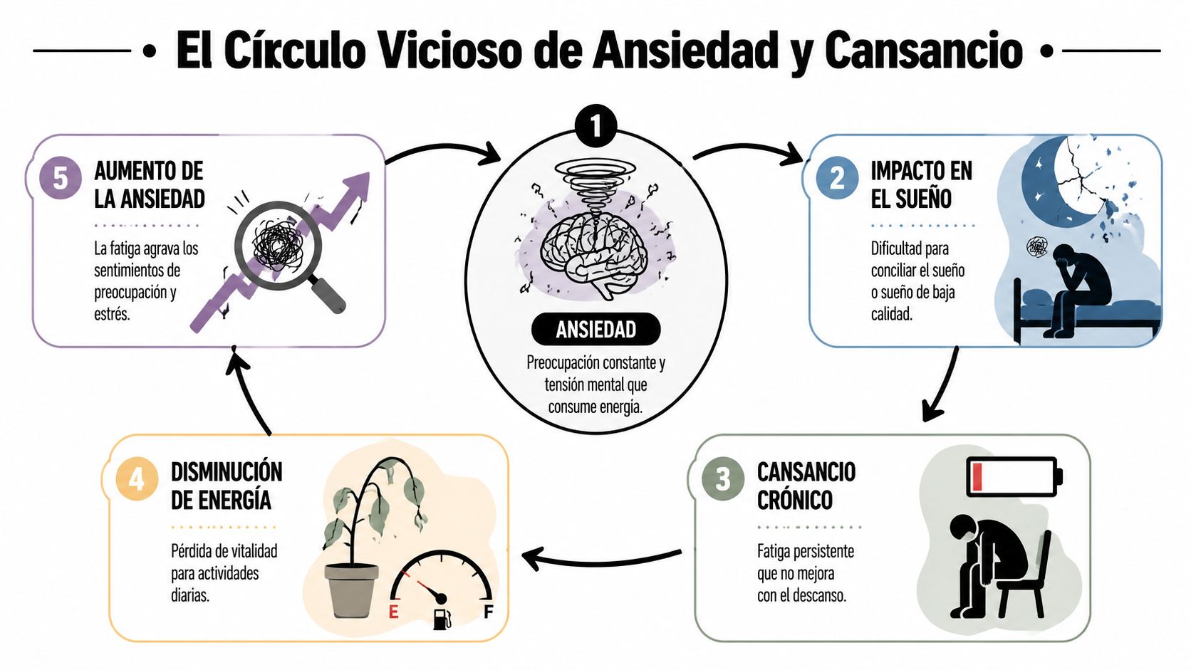 Supera la ansiedad y cansancio: Guía para sentirte mejor 2 Diagrama circular que ilustra cómo la ansiedad y el cansancio crónico se retroalimentan en un ciclo negativo.