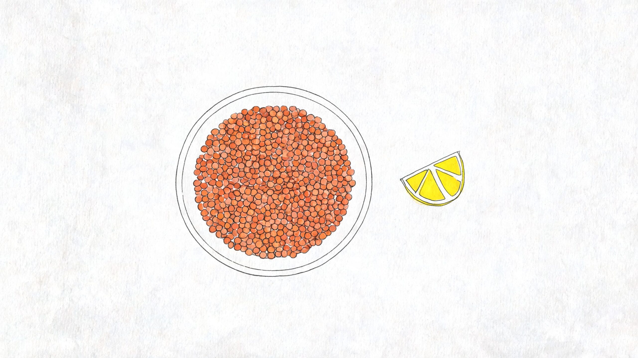 10 alimentos ricos en hierro para la anemia 1 Un plato lleno de lentejas rojas crudas junto a una rodaja de limón sobre fondo blanco.