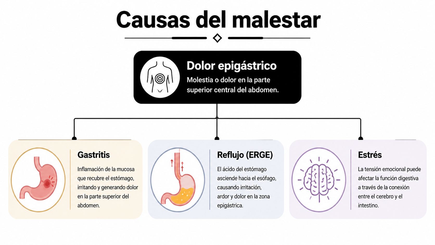 Causas y alivio para el dolor boca del estomago en 2026 2 Infografía sobre las causas del dolor epigástrico, incluyendo gastritis, reflujo y estrés como factores comunes.